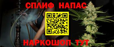 тгк Будённовск