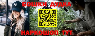 тгк Будённовск